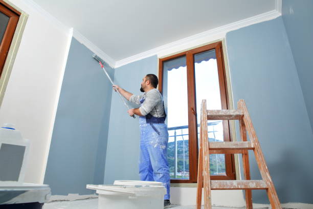 Best Environmental Consulting for Mold Prevention  in Chisholm, ME