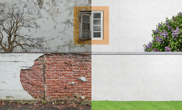 Best Mold Documentation for Insurance Claims  in Chisholm, ME